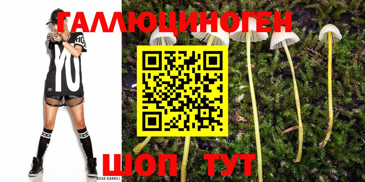 Псилоцибиновые грибы мухоморы  Вход с VPN  Алексин 